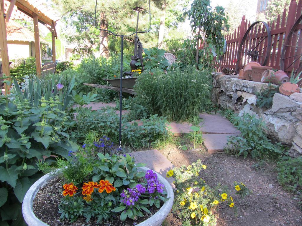Avenue Hotel Bed And Breakfast Manitou Springs Exteriör bild
